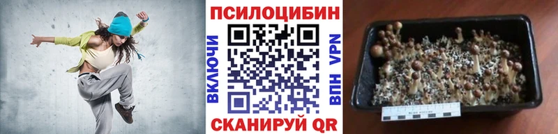 Псилоцибиновые грибы мицелий Опочка